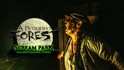 A Petrified Forest