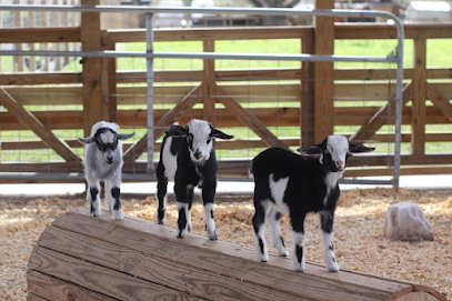 Alaska Farms