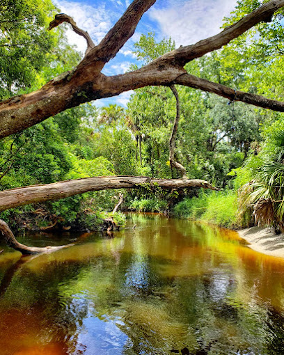 Black Hammock Trailhead