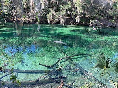 Blue Spring State Park