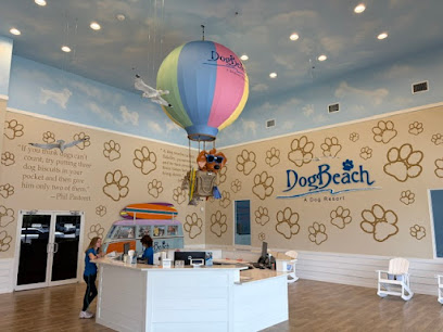 DogBeach Orlando