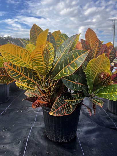 EcoLove Nursery and Farm LLC