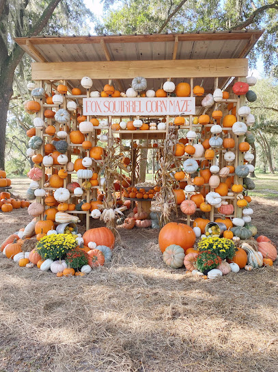 Fox Squirrel Corn Maze