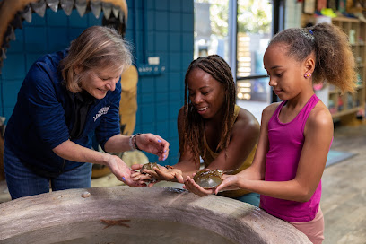 Marine Discovery Center