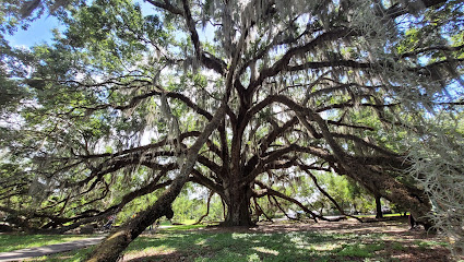 Orlando Cultural Park