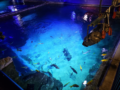 SeaLife Orlando Aquarium