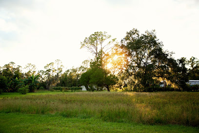 The Family Farm